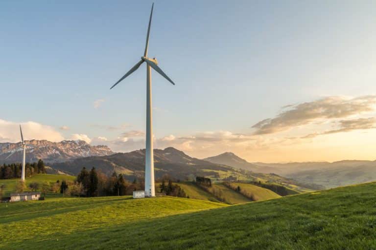 Pacte vert européen : où en est vraiment la neutralité carbone 2050 ?